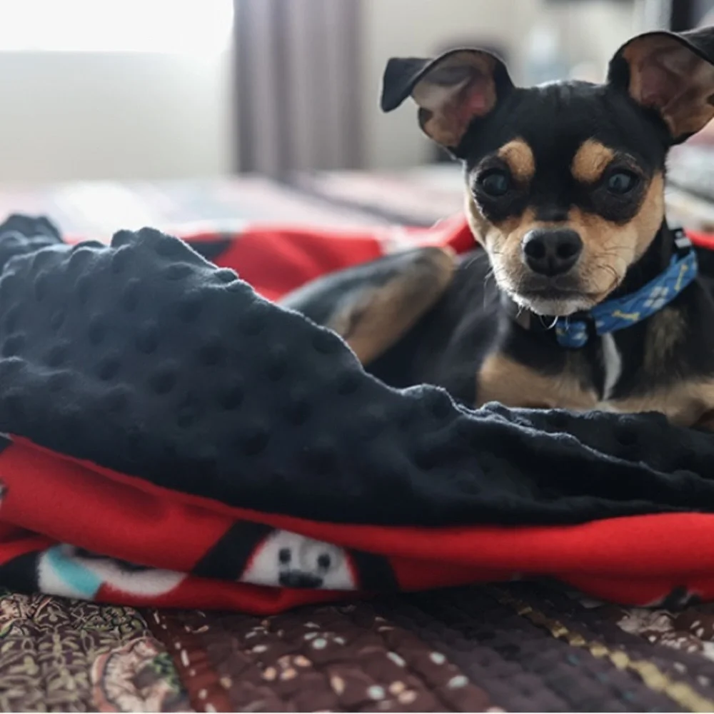 Dog puppy snuggle sack blanket